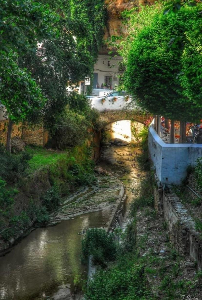 Casa Cueva Un Rincon En La Roca Villa Setenil De Las Bodegas Exteriör bild